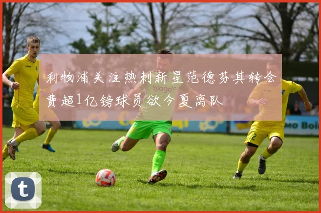 利物浦关注热刺新星范德芬其转会费超1亿镑球员欲今夏离队